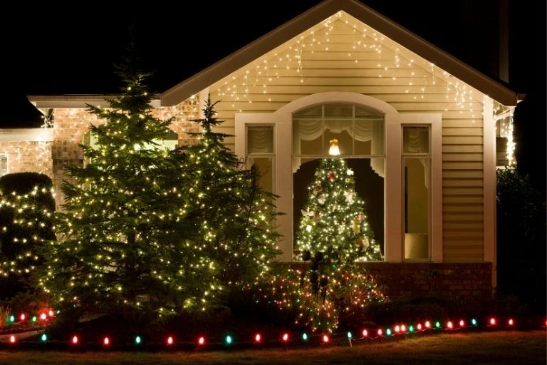 Holiday Lights Spark Joy and Nostalgia
