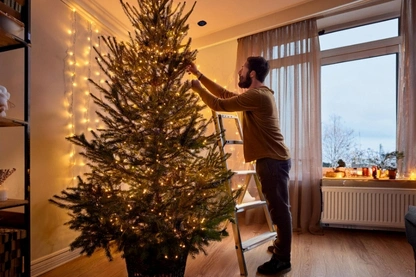 Keep Your Holidays Accident-Free